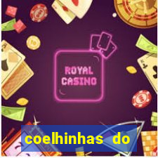 coelhinhas do brasil jp